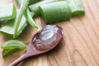 🍃Tea Tree & Aloe Cream Sealant🍃